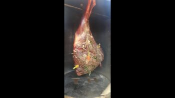 Smoked Springbok Leg