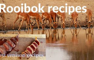The Best Venison Recipes | Impala – Rooibok | Xman and Co