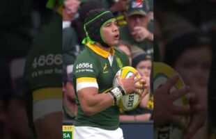 Cheslin Kolbe highlight reel for 2024 will leave you speechless!