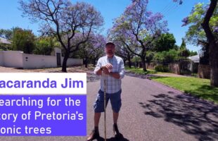 Just Off the Highway | Episode 50 | Searching for Jacaranda Jim: Story of Pretoria’s Iconic Trees