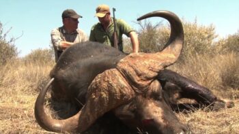 Almansdam Safaris – 2025 Promo