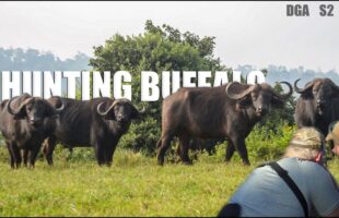 Cape Buffalo Hunting – Season 2 Episode 2