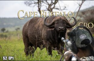 Hunting Buffalo & Croc – Season 2 Episode 1