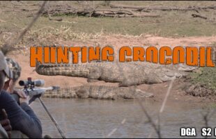 HUNTING CROCODILE – Season 2 Episode 3