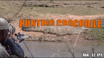 HUNTING CROCODILE – Season 2 Episode 3