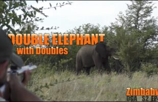 Hunting Elephant in Zimbabwe – Episode 4