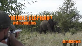 Hunting Elephant in Zimbabwe – Episode 4