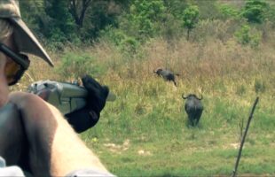Hunting Tanzania Highlight 2024