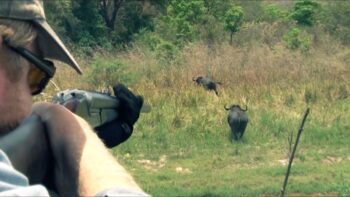 Hunting Tanzania Highlight 2024