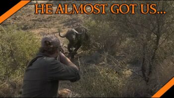 Living through a Buffalo Charge