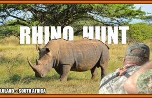 Rhino Hunt – Zululand KZN