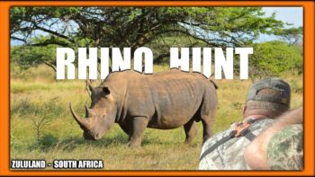 Rhino Hunt – Zululand KZN